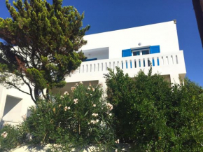 Cozy & comfy Apt with Sea View in Chora Andros